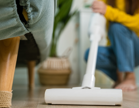 蚂蚁分类信息系统